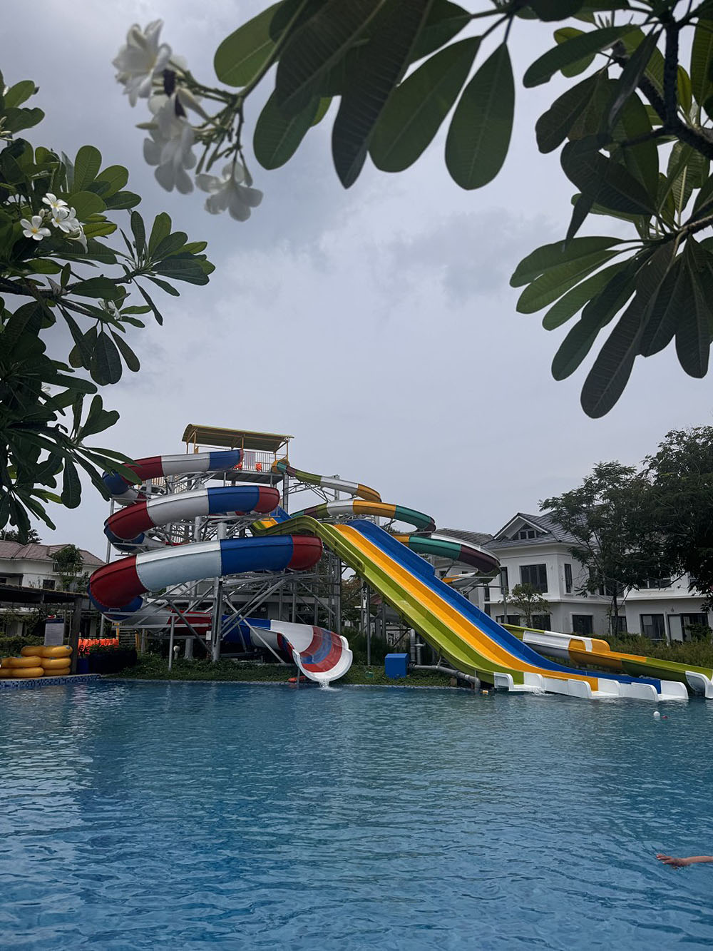 d4505943db2c7.jpg