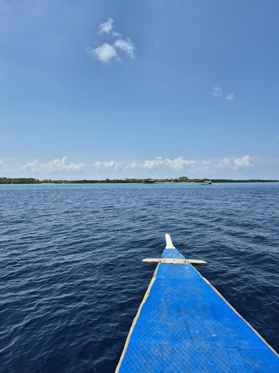 d613821b939f5.jpg