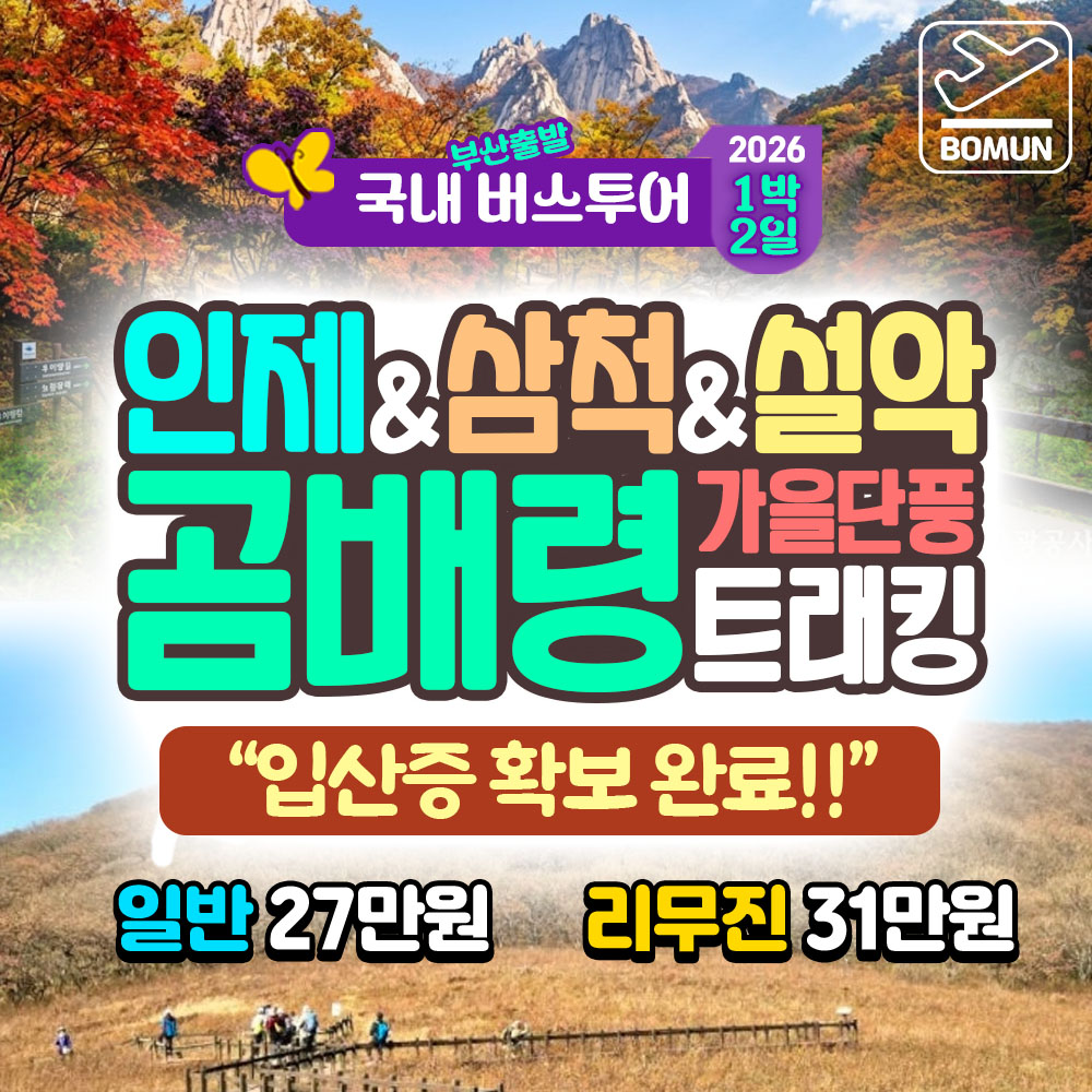2026 거창 감악산 꽃별 아스타 국화 축제 당일 여행
