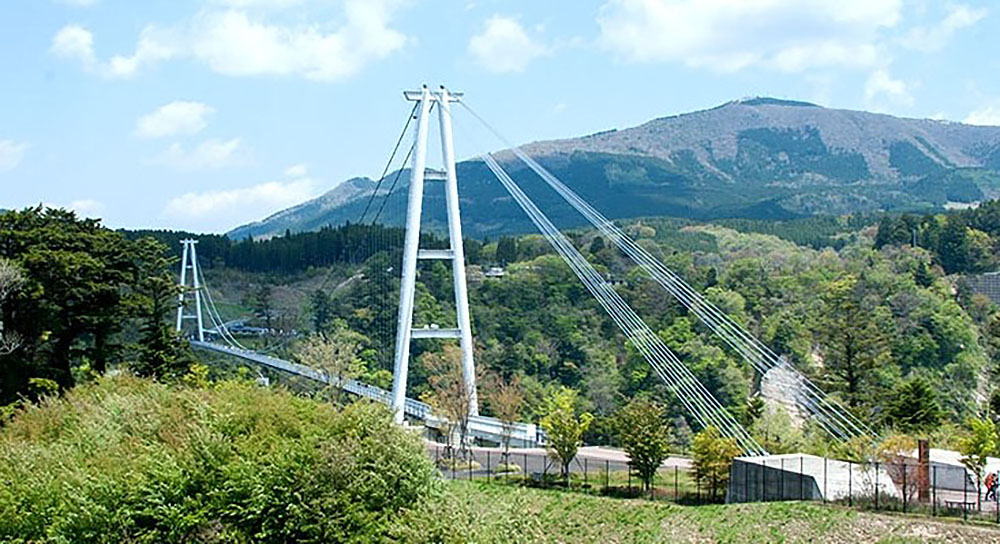 df4175562d3b1.jpg