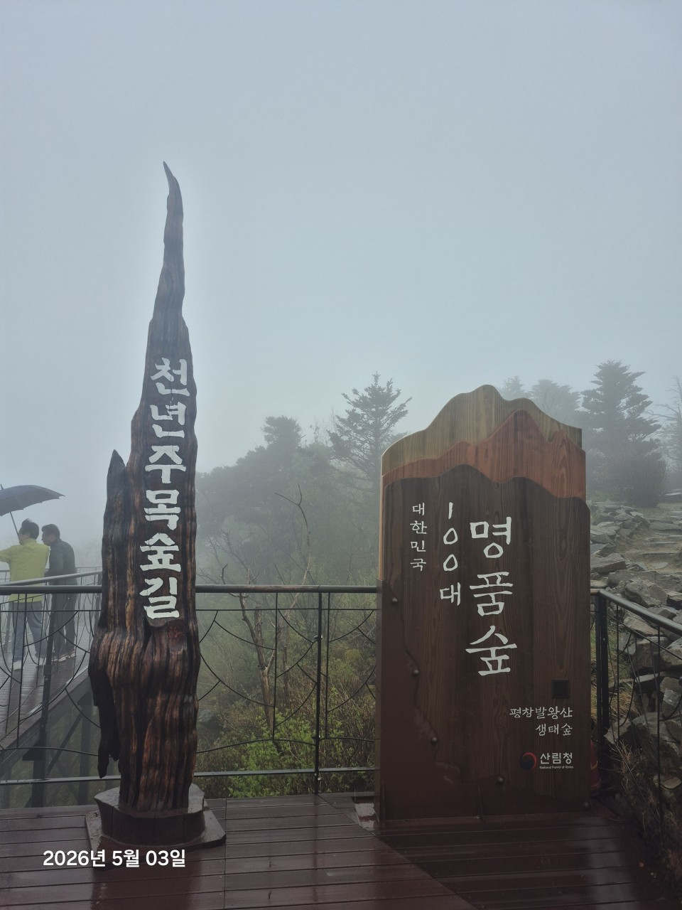 e877d620ee688.jpg