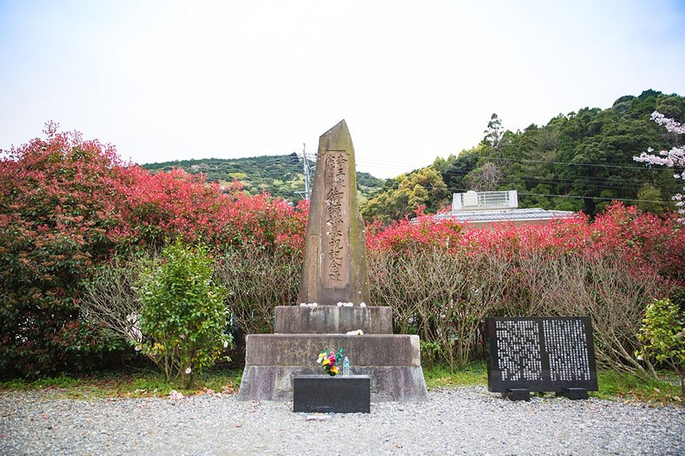 f16802baa4381.jpg