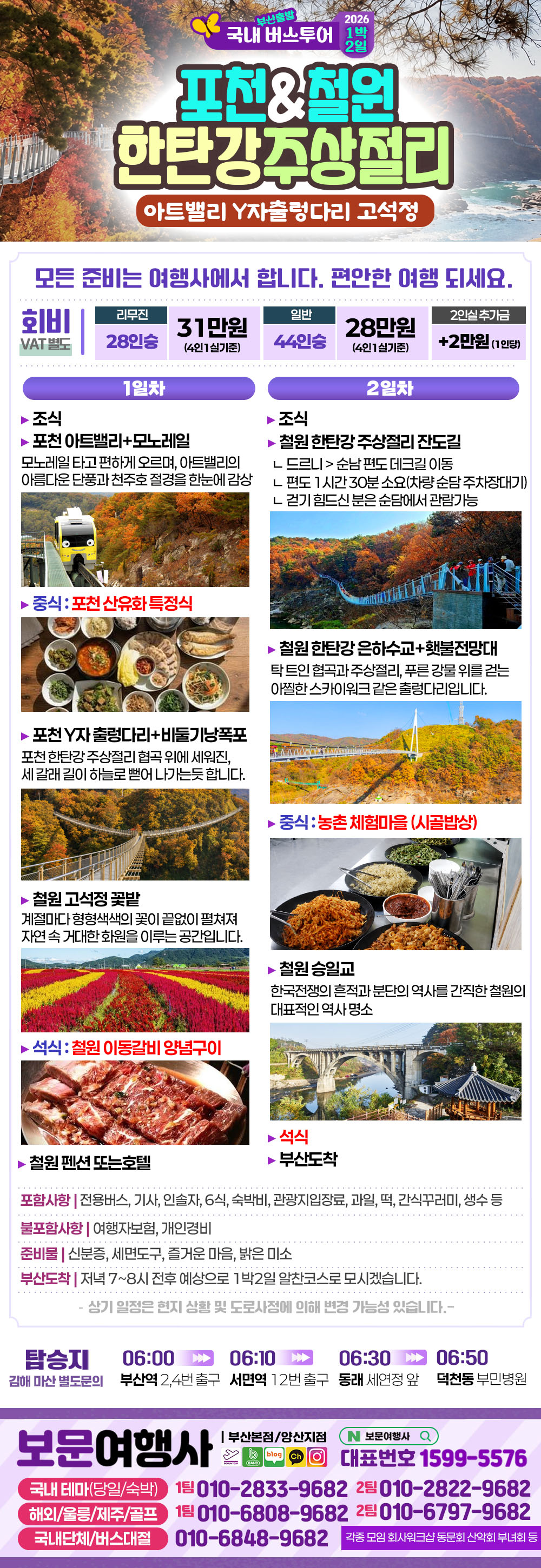 2026 거창 감악산 꽃별 아스타 국화 축제 당일 여행 복제