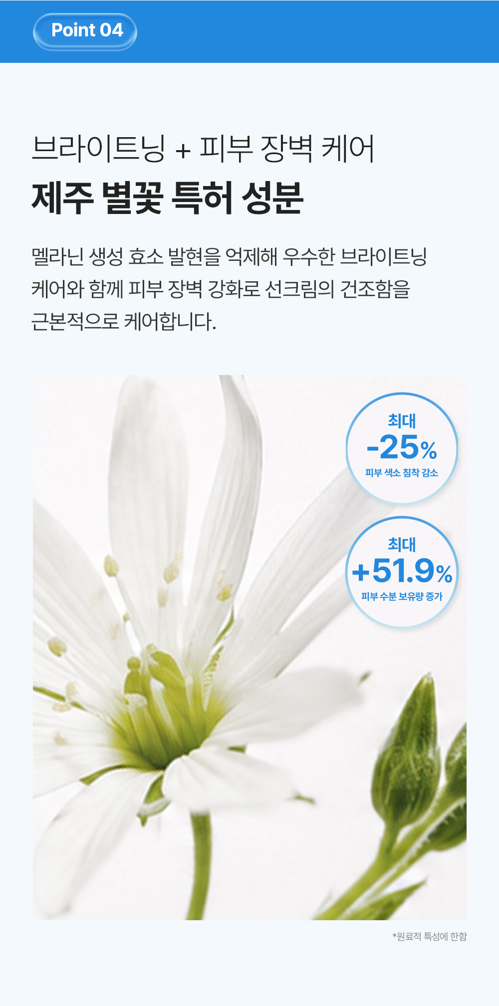 워터풀 톤업 에센스 선블럭 크림