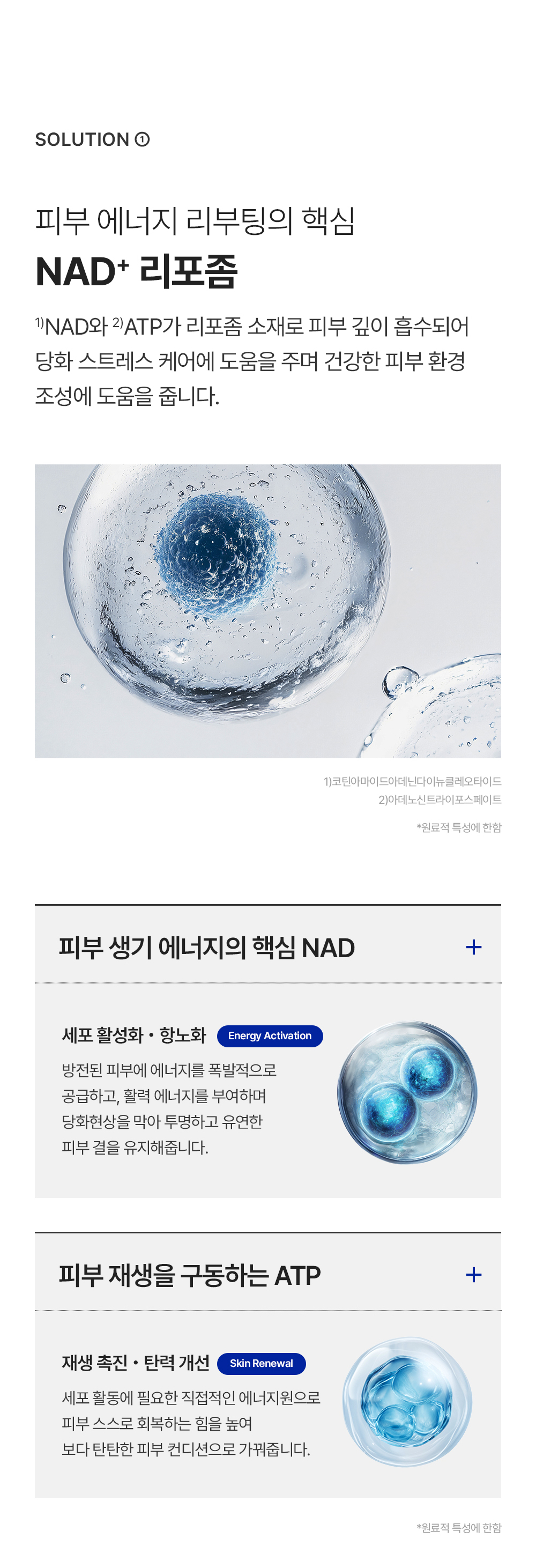[레디영약국 단독] NAD+GF 부스터 크림