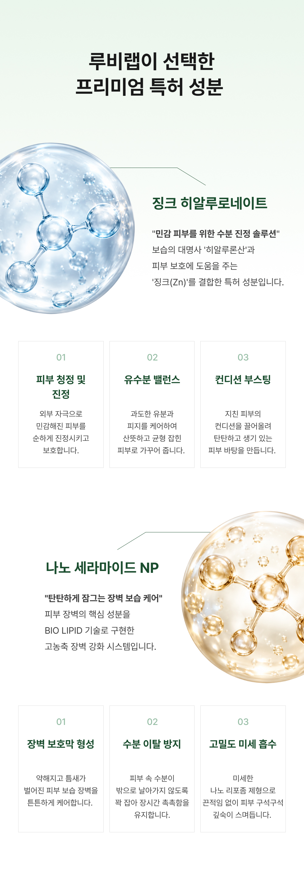 아르테미시아 포레스트 테라피 마스크팩 5ea