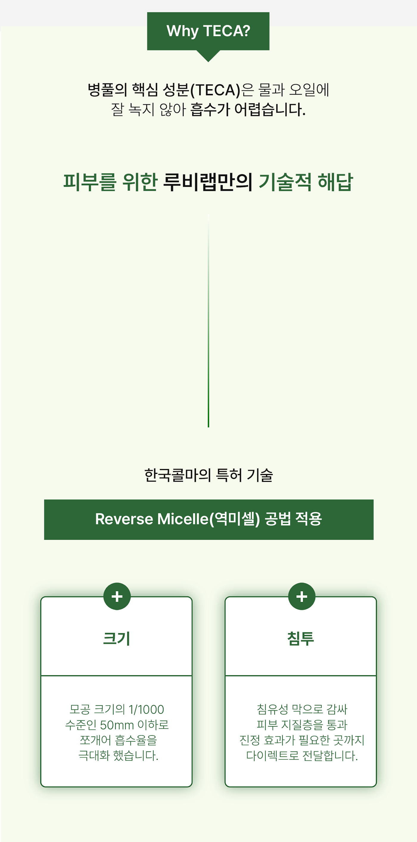 아르테미시아 포레스트 테라피 팩 투 폼 클렌저