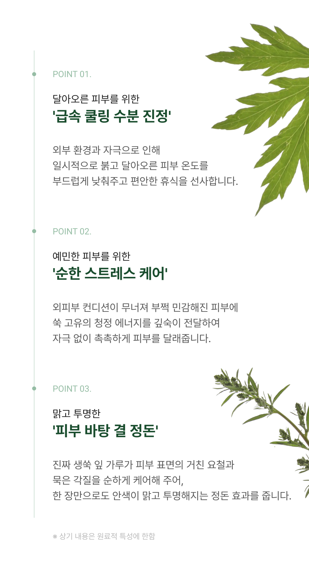 아르테미시아 포레스트 테라피 마스크팩 5ea
