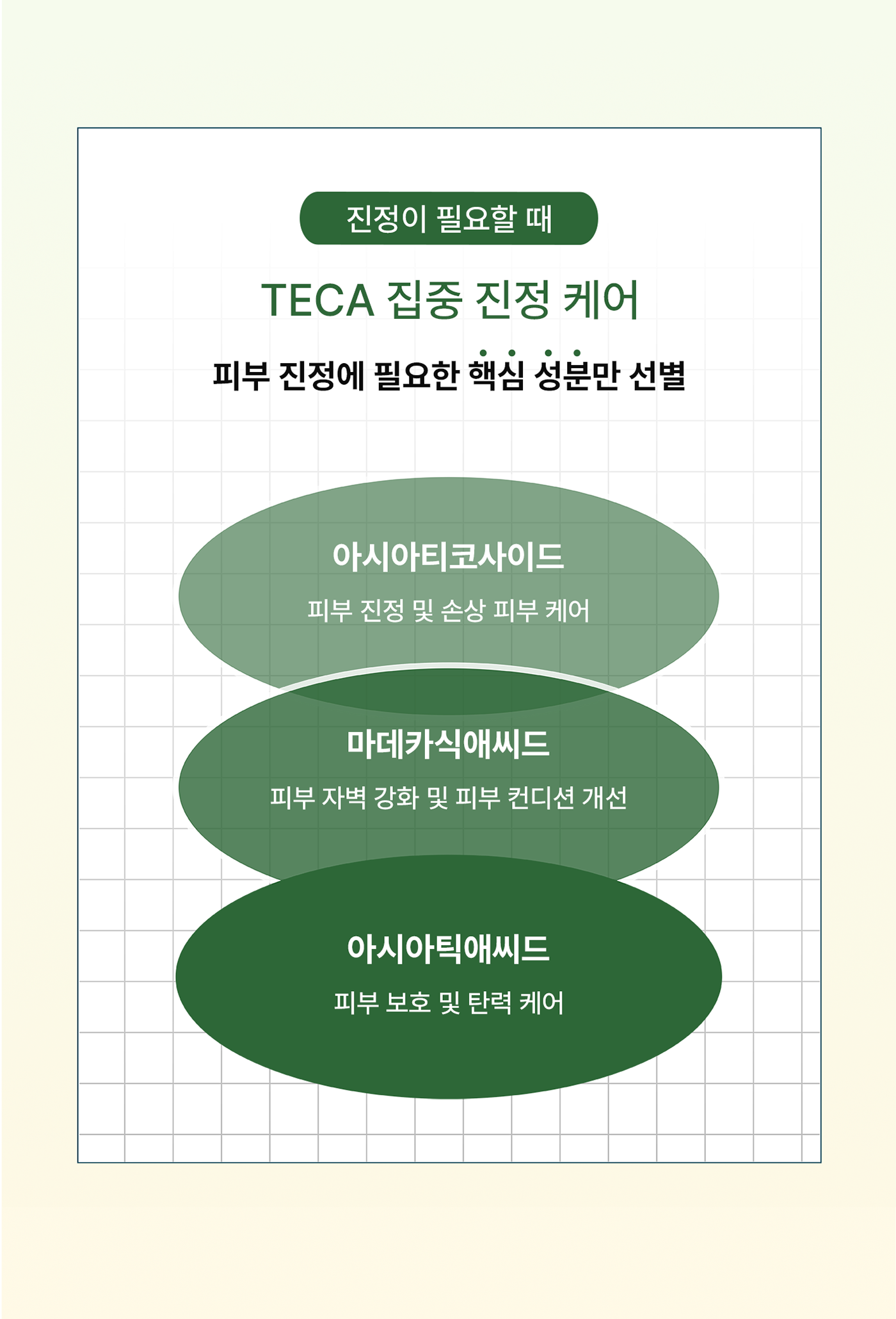 아르테미시아 포레스트 테라피 팩 투 폼 클렌저