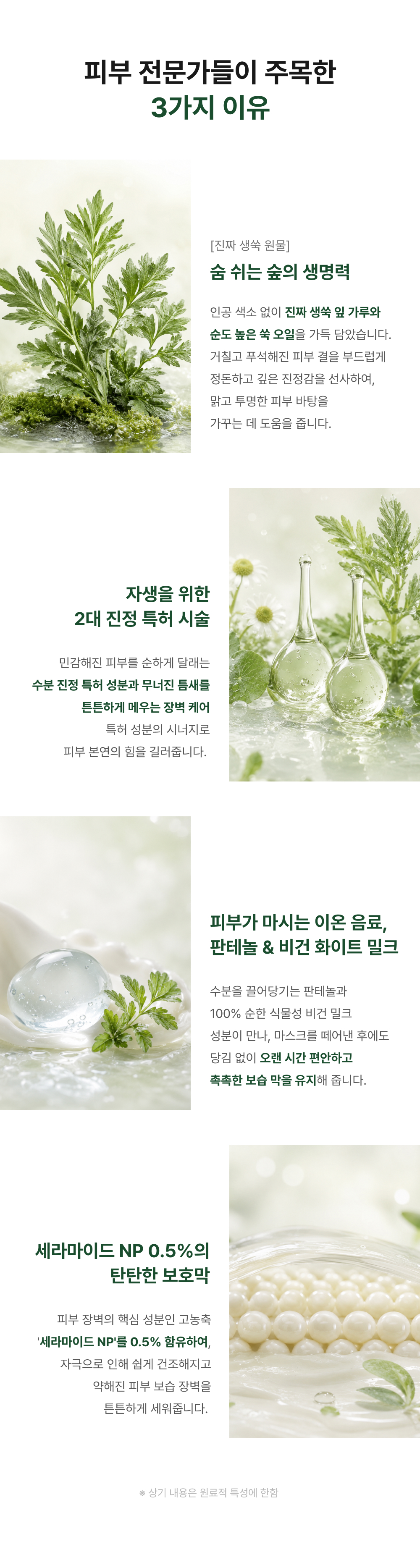 아르테미시아 포레스트 테라피 마스크팩 5ea