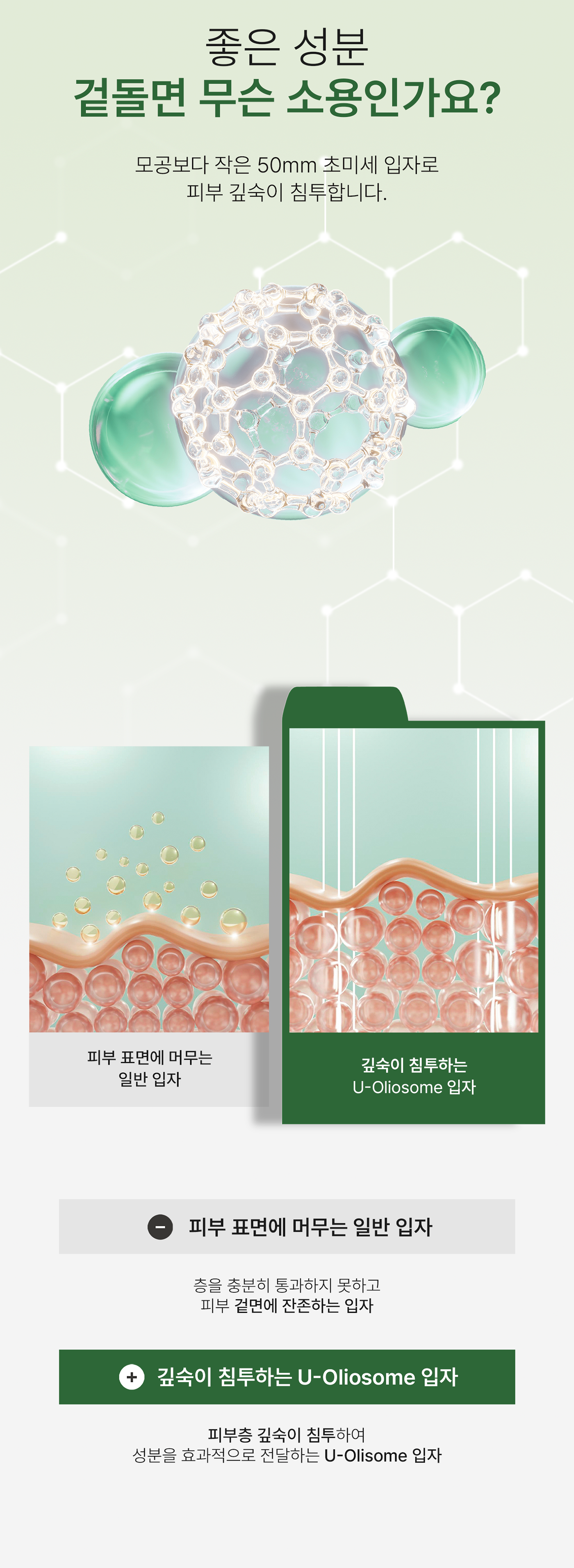 아르테미시아 포레스트 테라피 팩 투 폼 클렌저