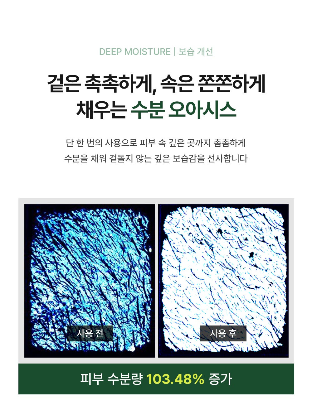 아르테미시아 포레스트 테라피 마스크팩 5ea