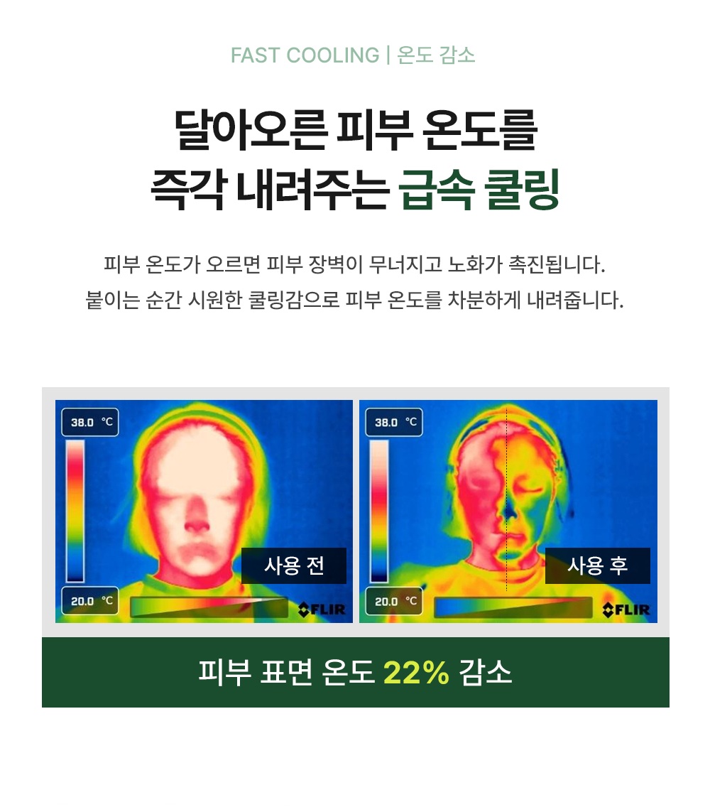 아르테미시아 포레스트 테라피 마스크팩 5ea
