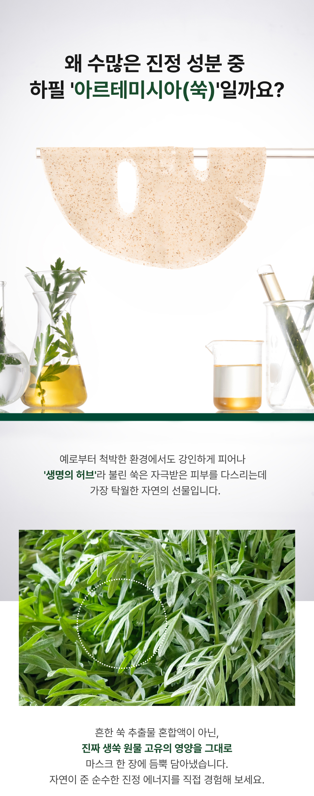 아르테미시아 포레스트 테라피 마스크팩 5ea