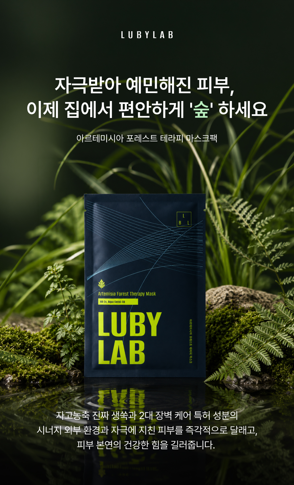 아르테미시아 포레스트 테라피 마스크팩 5ea