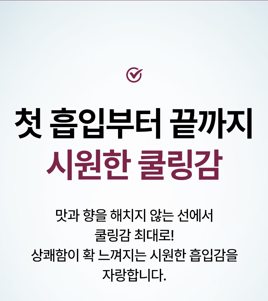 스팀랩 민트아이스 [무니코틴]