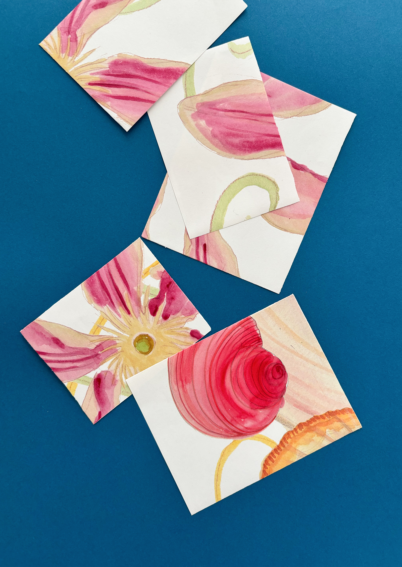 The Gift Wrap