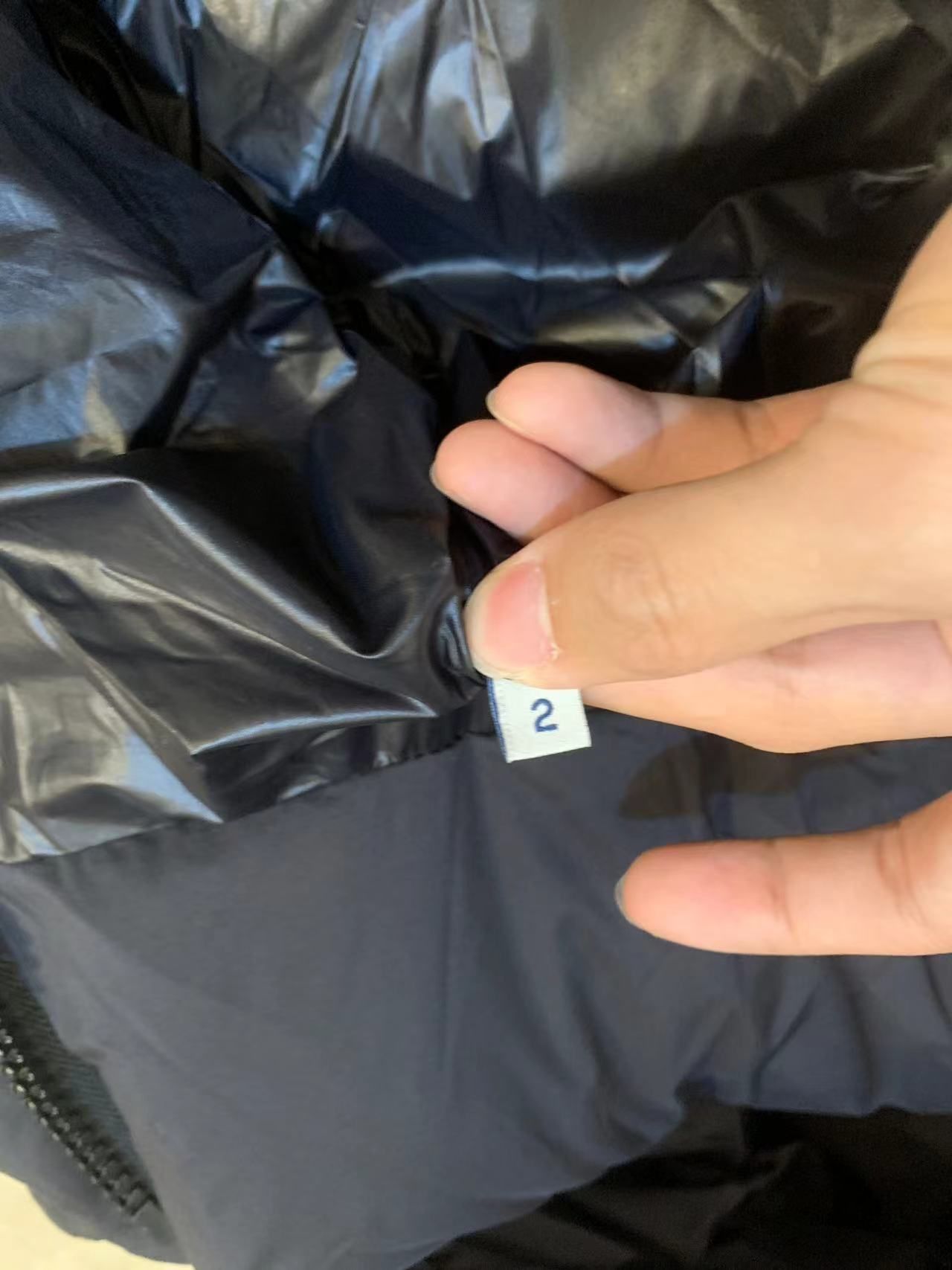 b8fde258de715.jpg