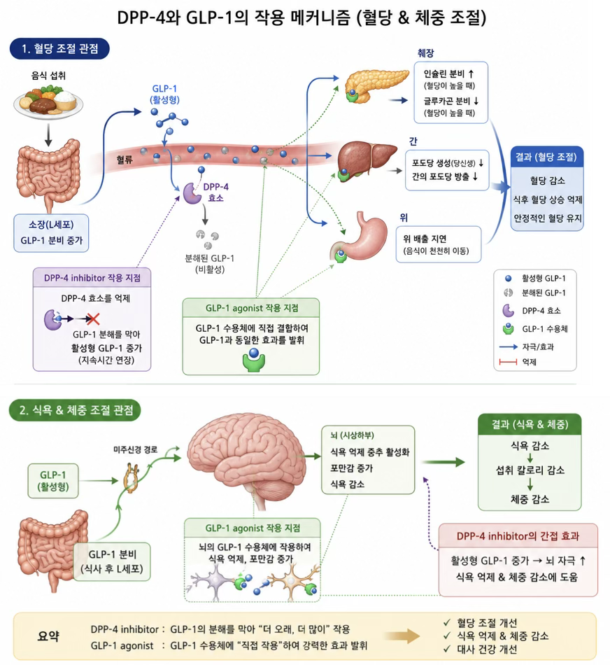 인류를 바꾼 '위고비' : 편한가