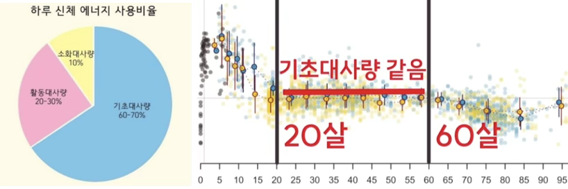 5ebb558d5beaa.png