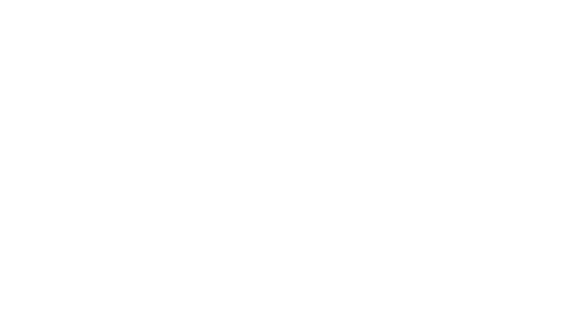 보스휘트니스