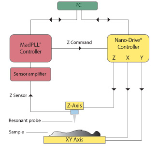AFM block diagram