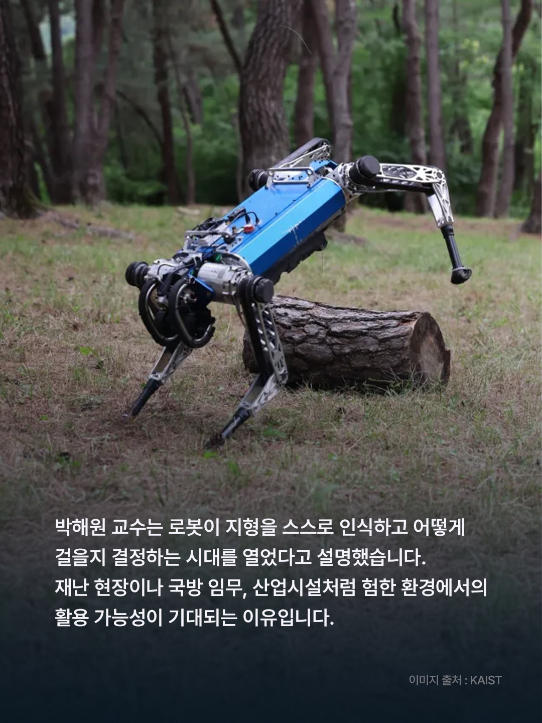 3af548078d03a.jpg