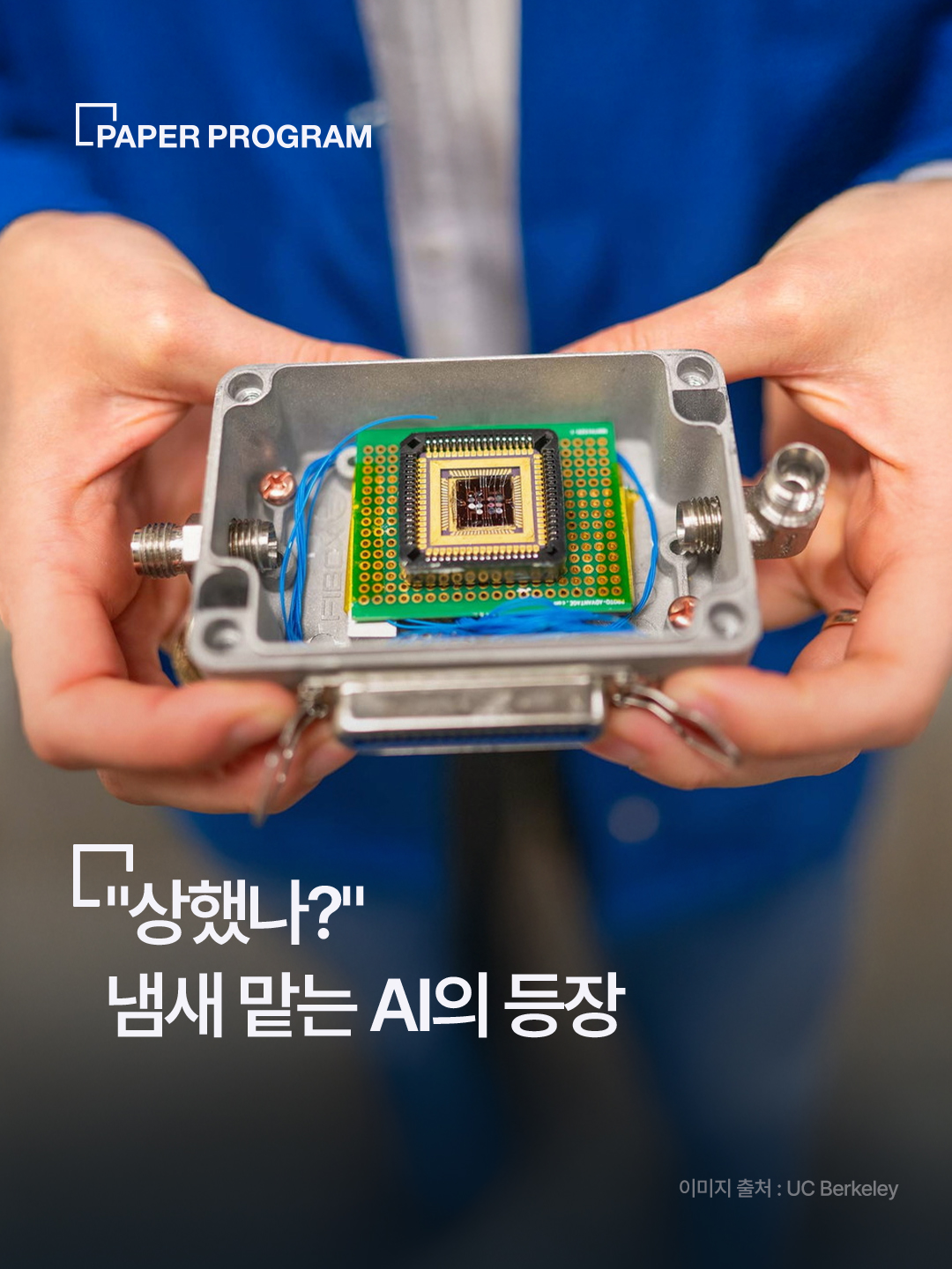 fe81d853b56ce.jpg