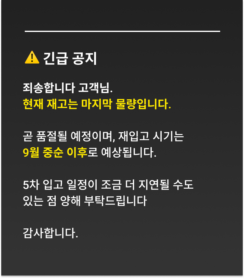 에어슨 에어스트레이트 2X 세이프스트레이트 부스터 에어스트레이트너 판고데기 미용실 매직기 여행용 프리볼트