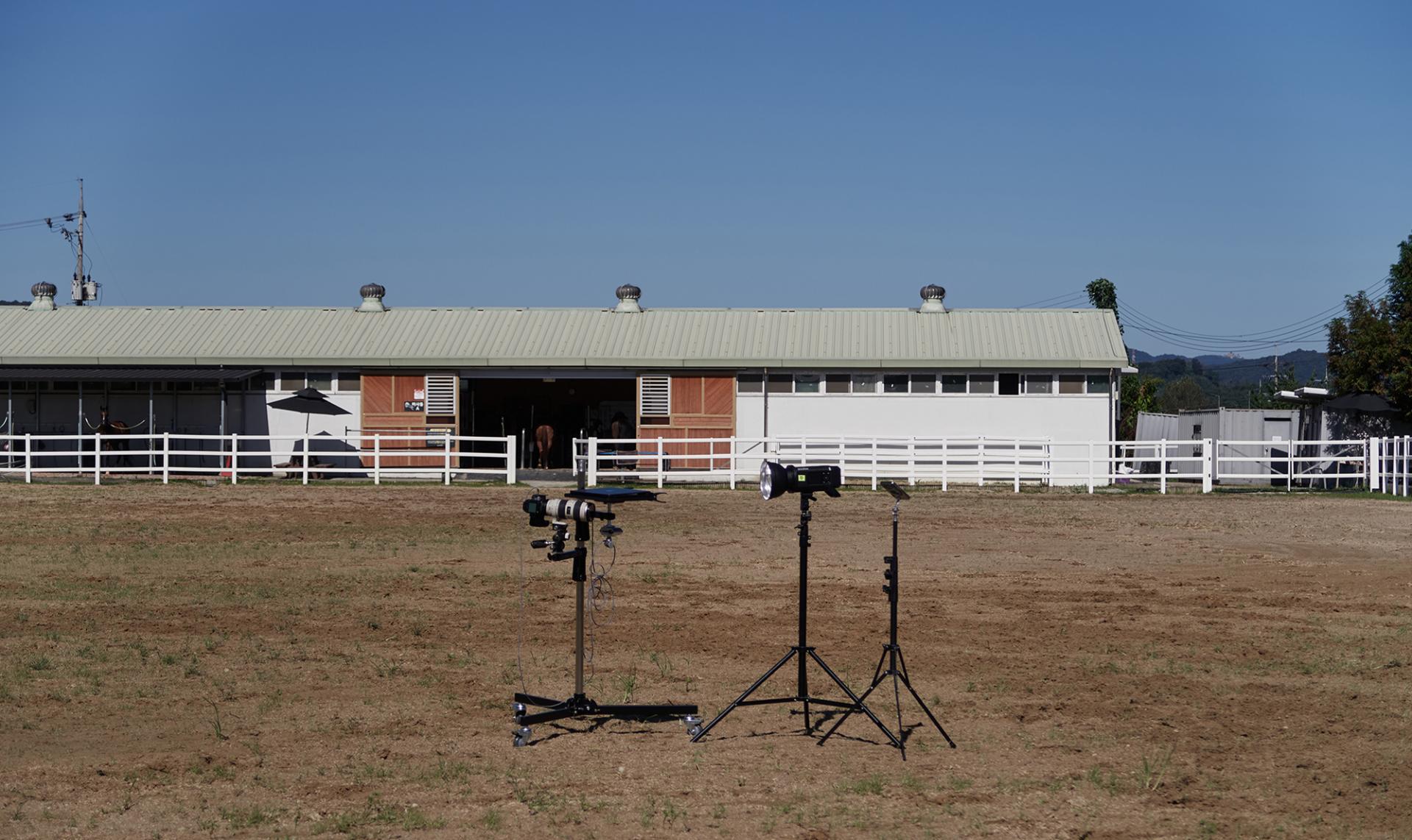 Horse Photography & Lighting | 원데이 클래스