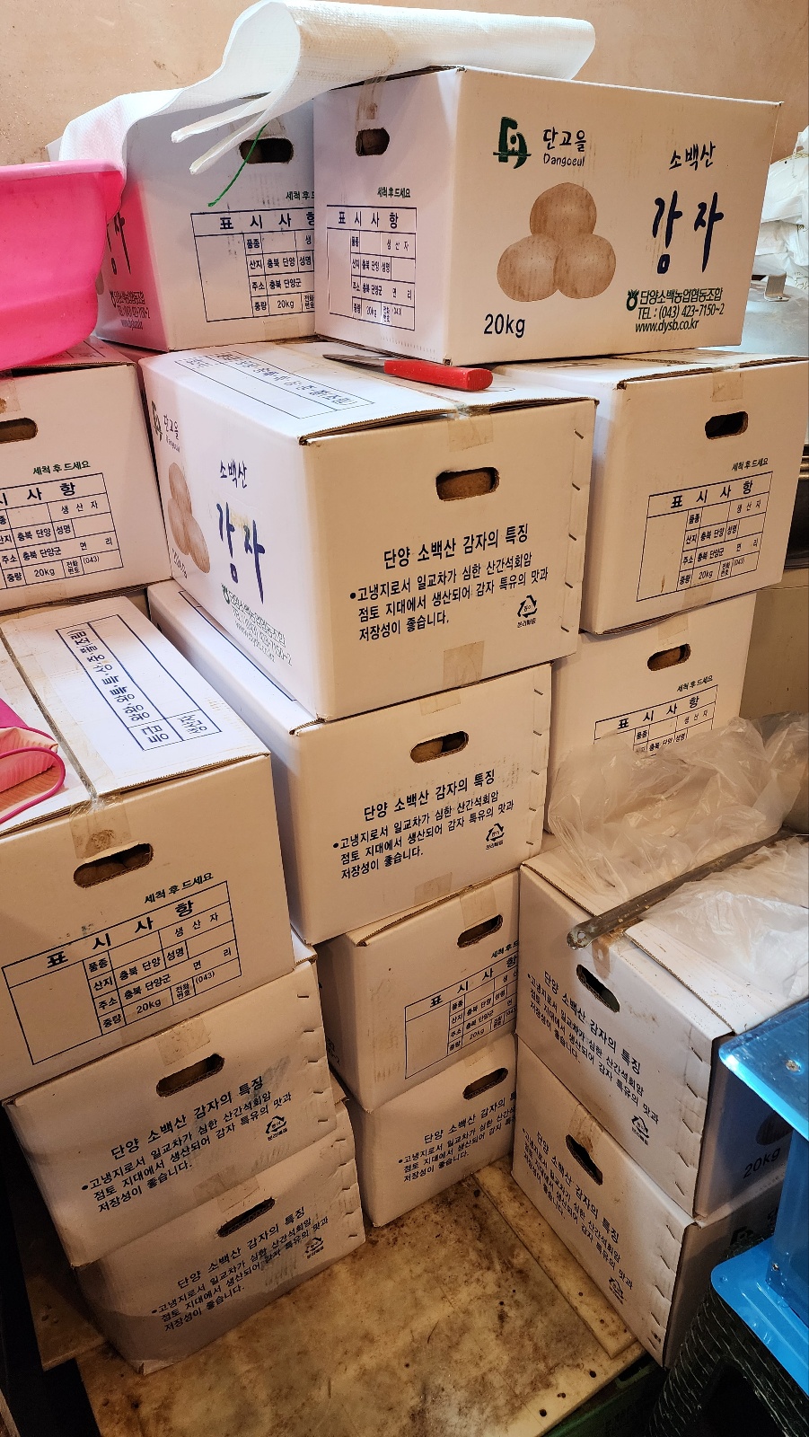 선녀씨와 가마골 옹심이(상) : 스토리파크, image size:901x1600