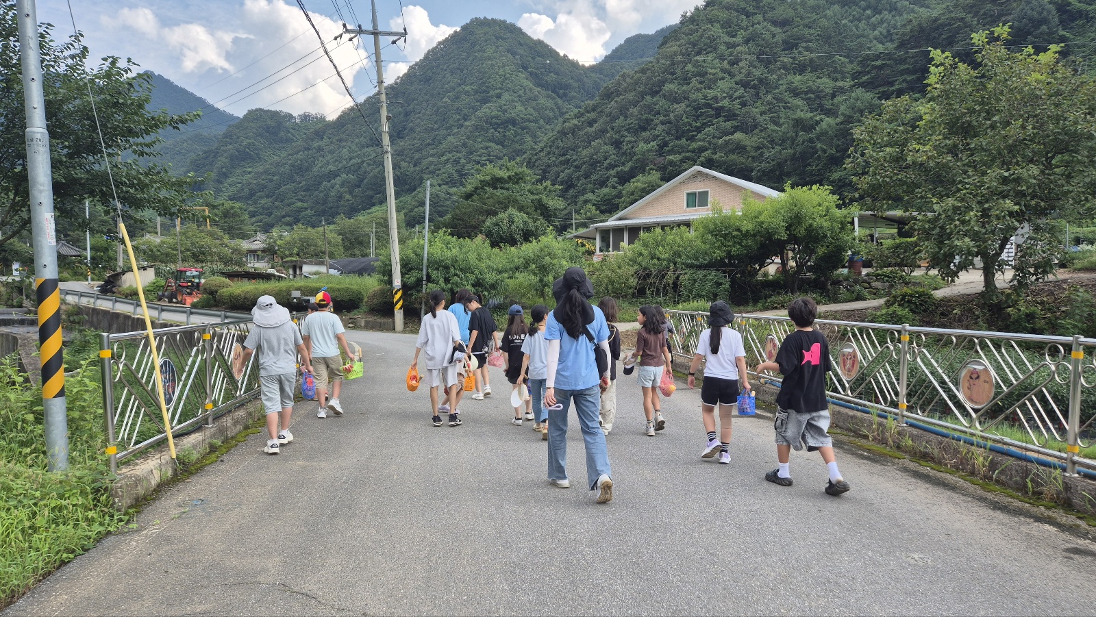 f538c36f869d5.jpg