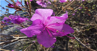 4f4a4081571b0.png