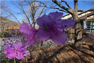 d7d521a695824.png
