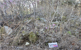eb790917a975f.png