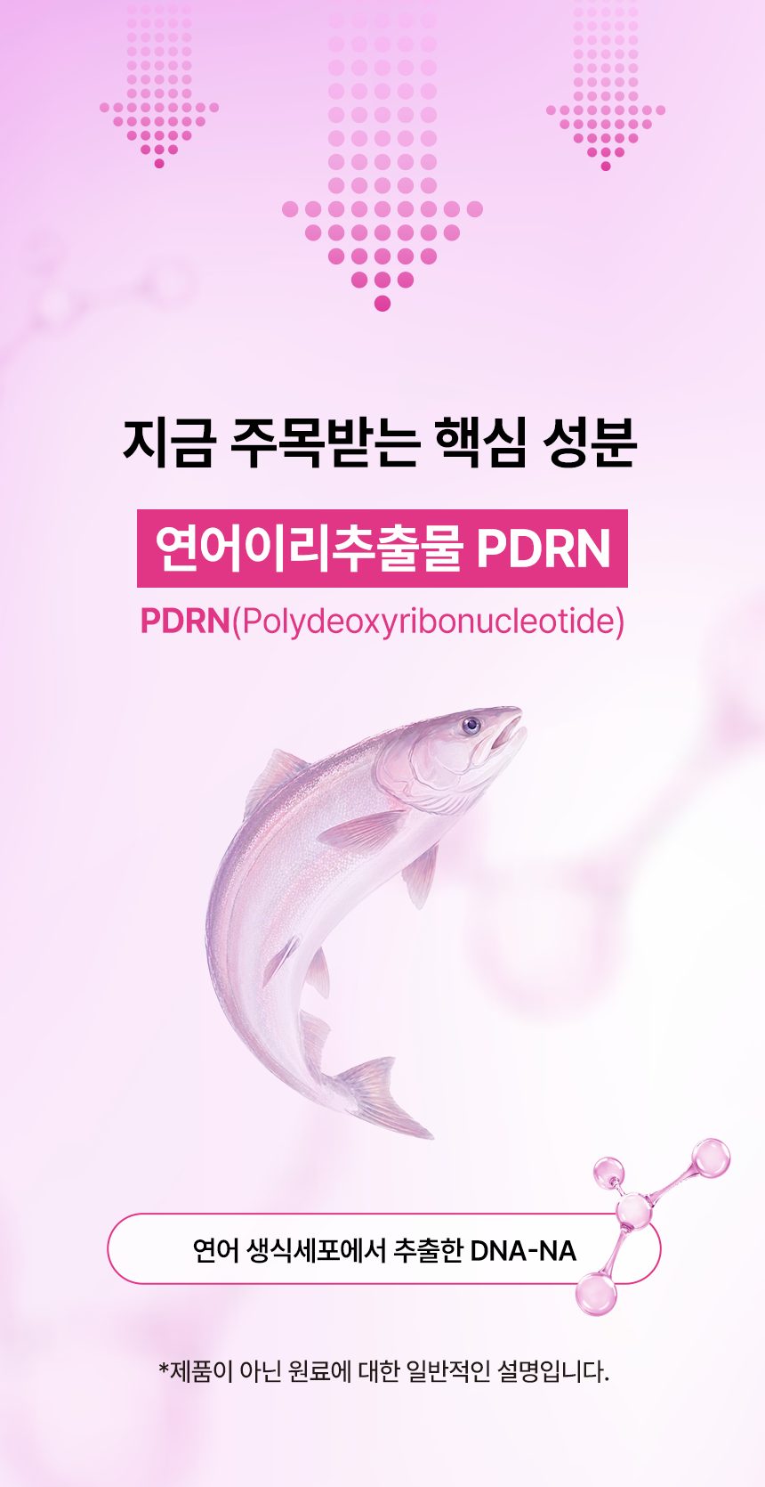 차바이오 건강 PDRN 액티브