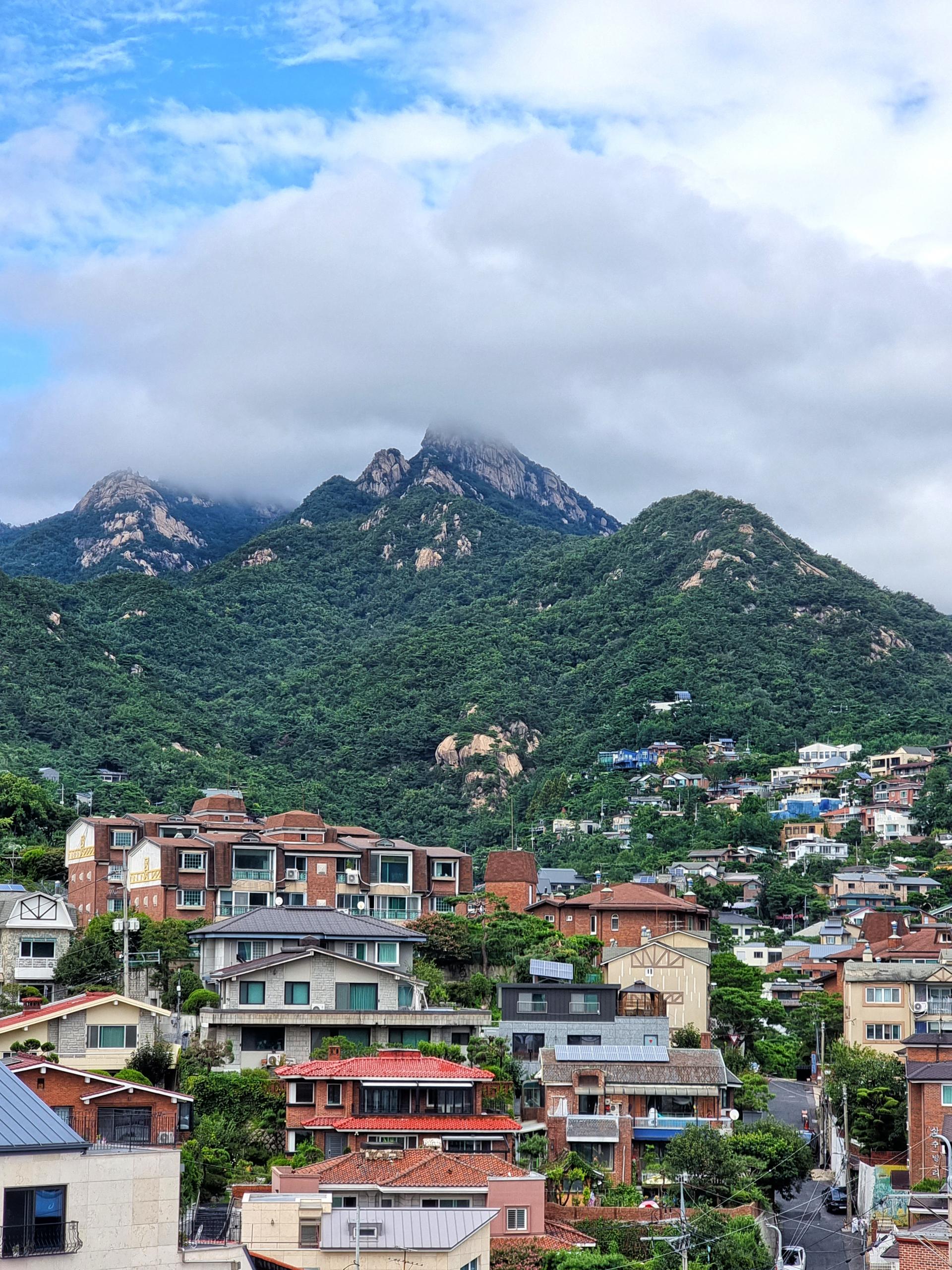 10378e8a5f061.jpg