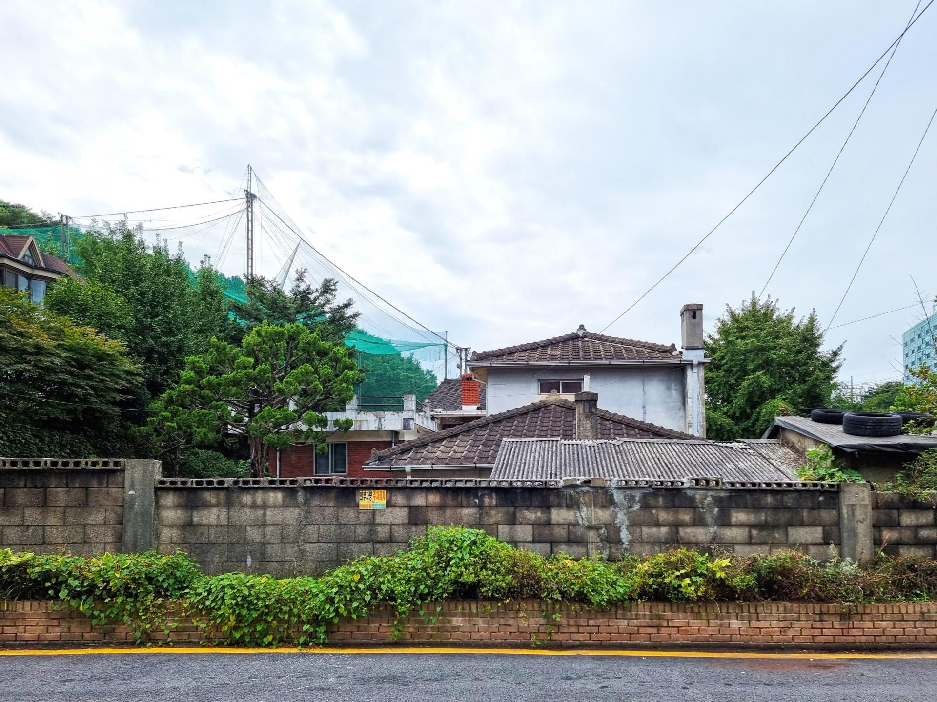 539635767d01c.jpg