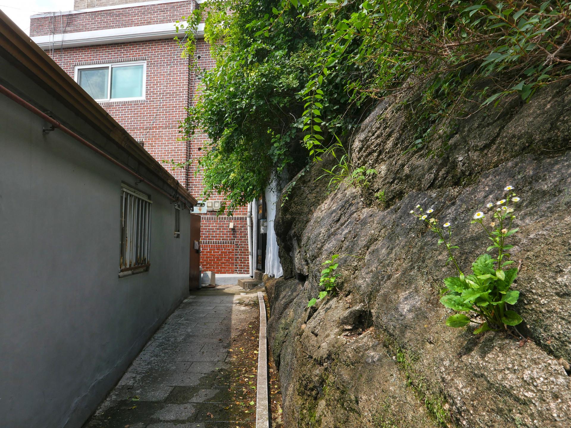 6b7f4774ac15e.jpg