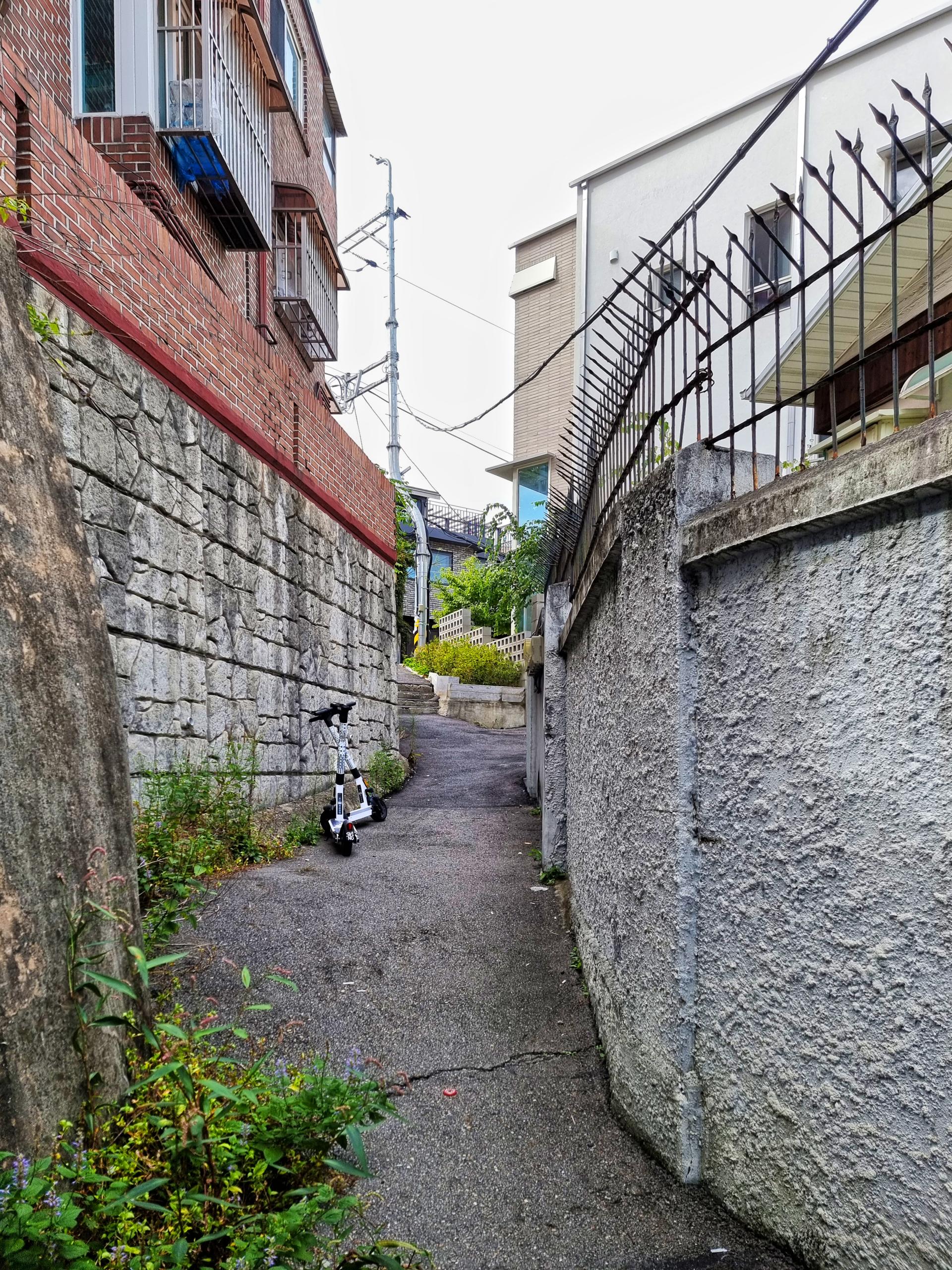 b87003d74ff52.jpg