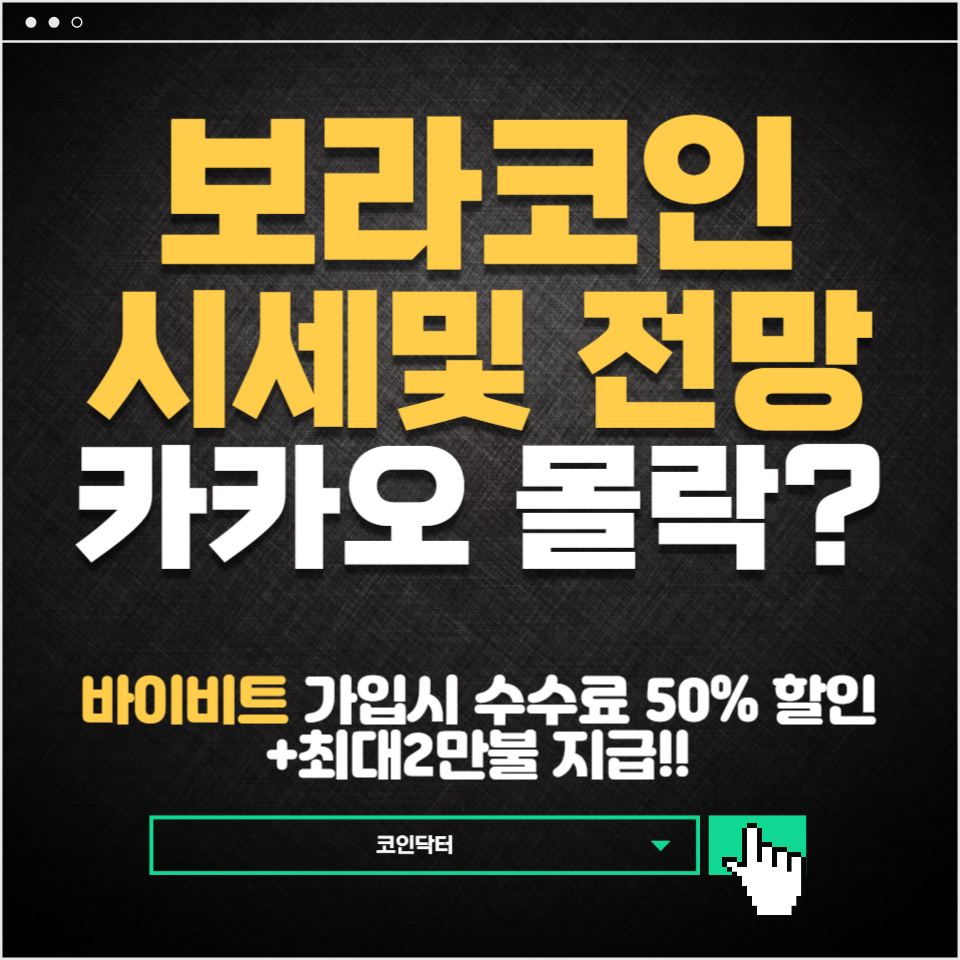 보라코인이란 무엇인가? 또 카카오의 전략은? : 코인