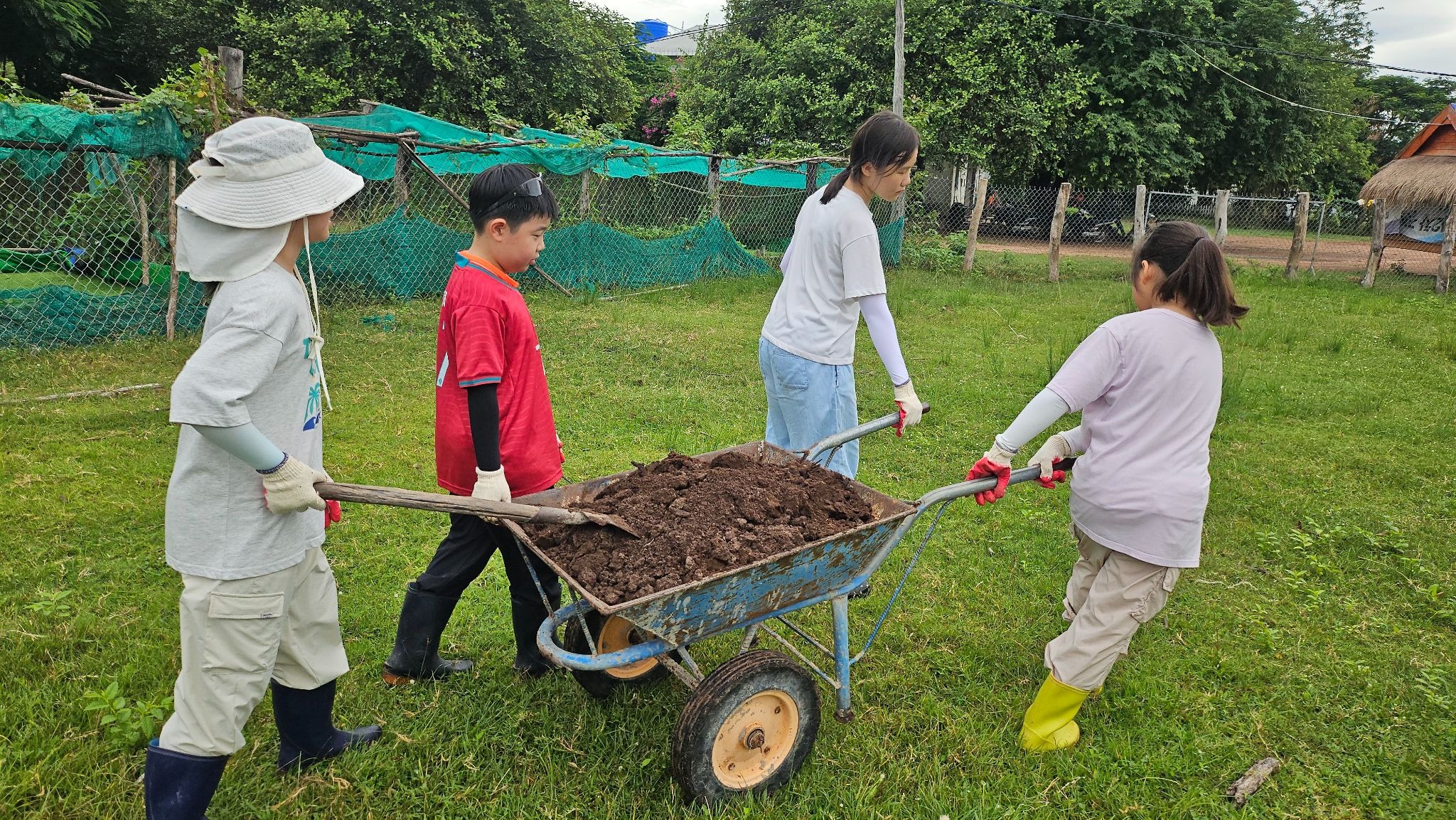 ac1b33ec19a29.jpeg