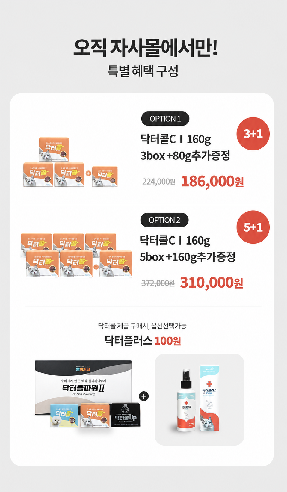 [닥터콜C] 고양이전용 종합 영양제 80g/160g