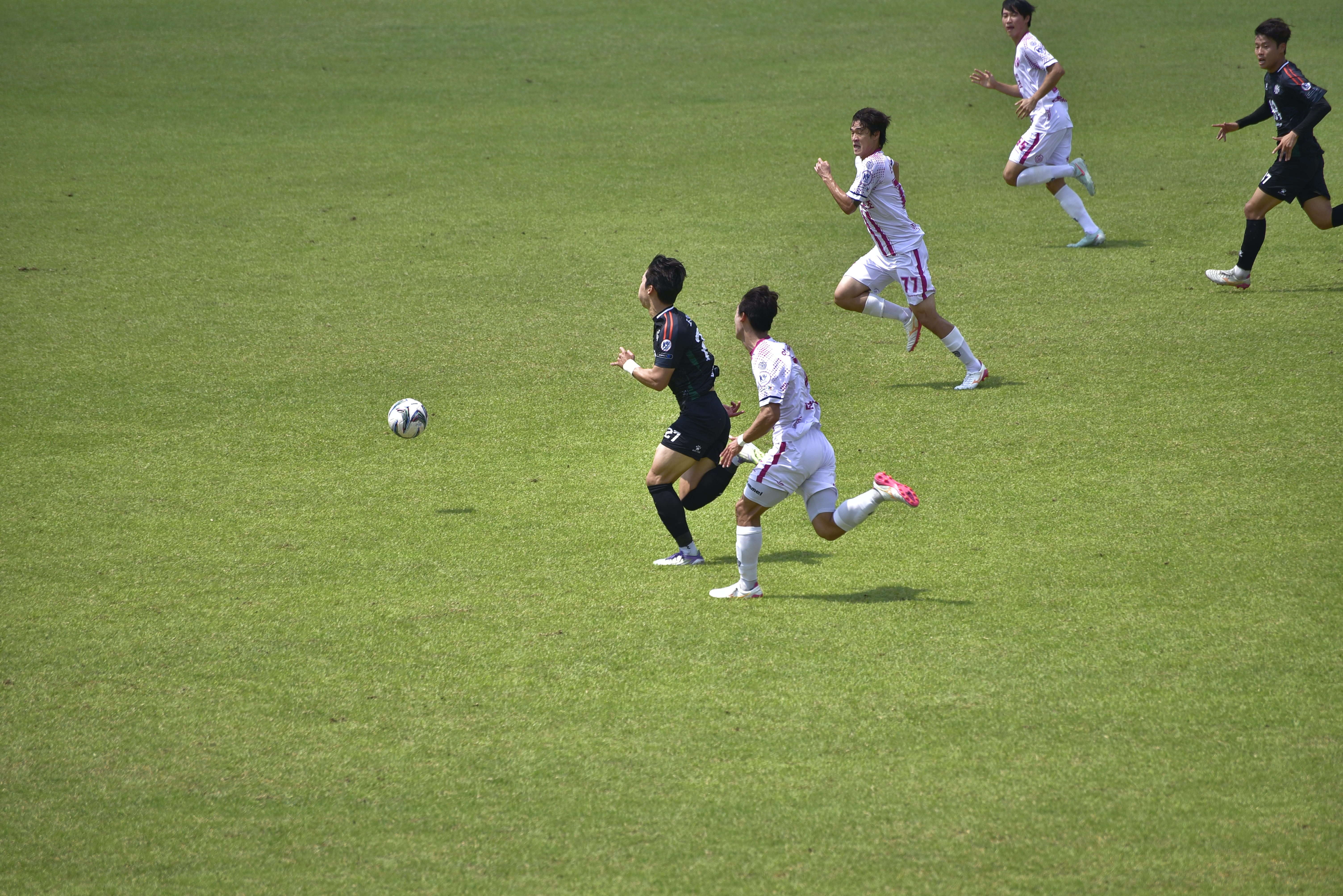 4a6234cdeca53.jpg