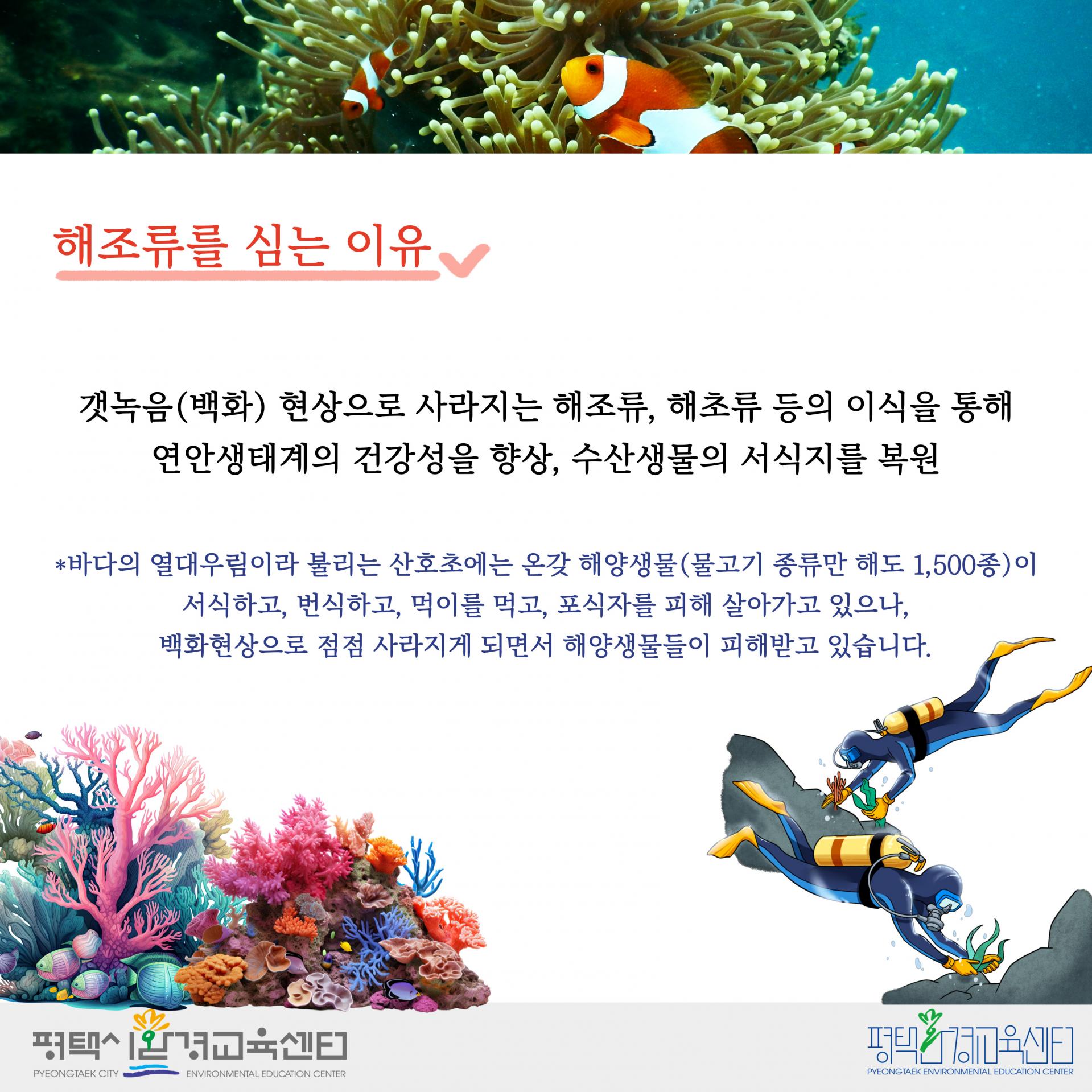2bbc20ad0c1a9.jpg