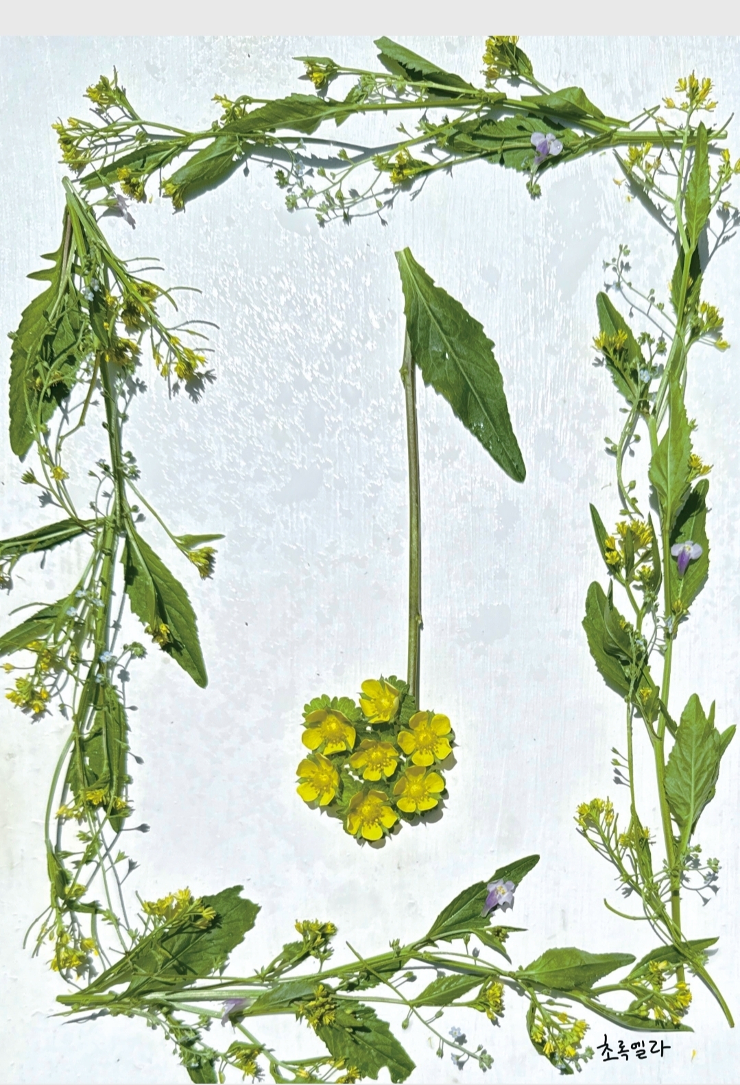 62a98c2936ad8.jpg