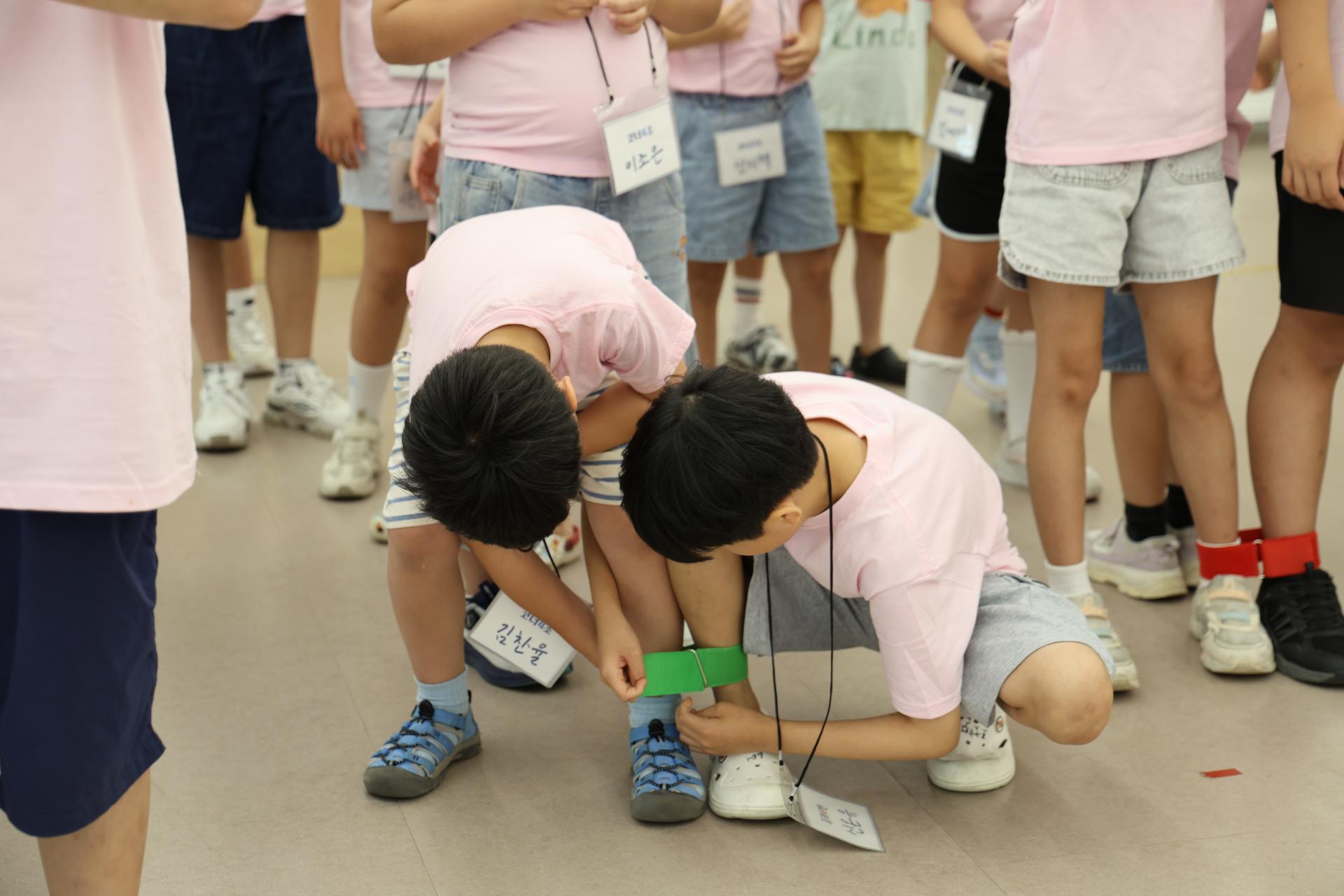 96c108b24ae41.jpg