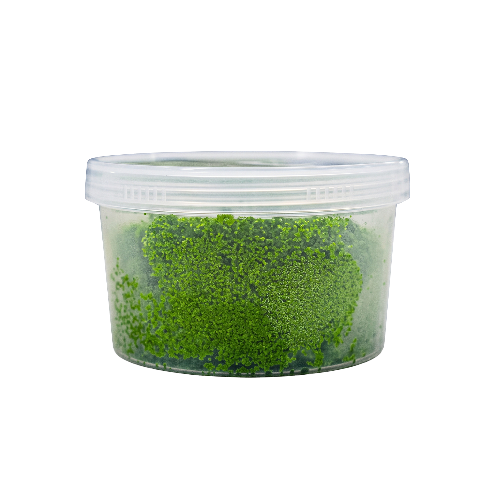 울피아 100g