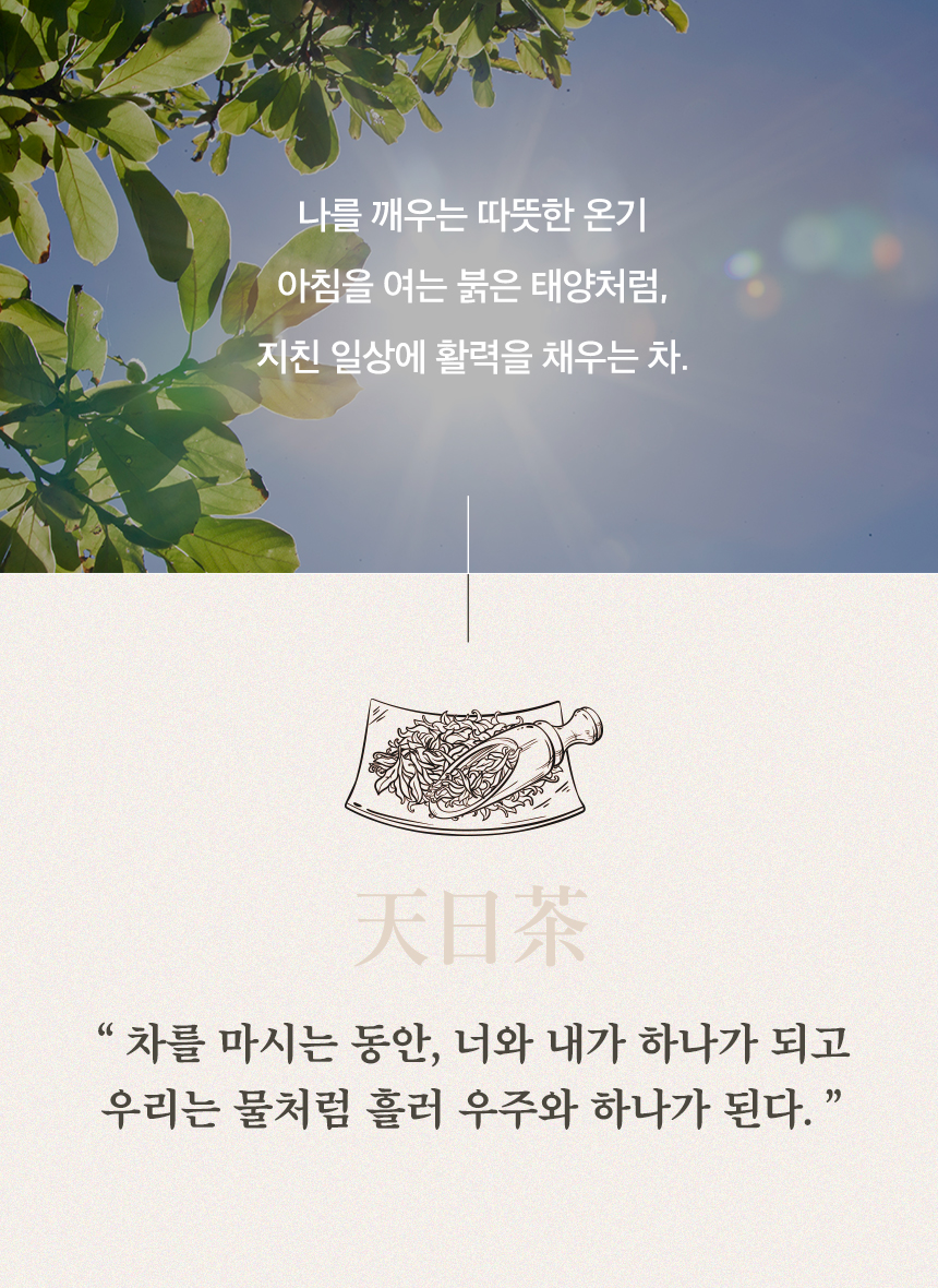 천일차 황기 구기자 차 대용량, 명상 아티스트가 설계한 기력 한방 티백 (75g)