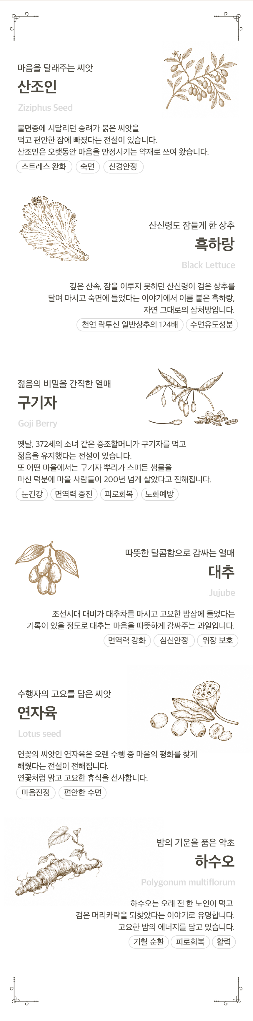 자미차 산조인 흑하랑 밤루틴 숙면 티백차 - 잠의 깊이가 깨달음의 높이다 (100g)
